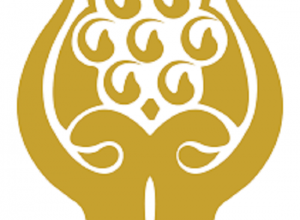 bizkhabar_saarc logo