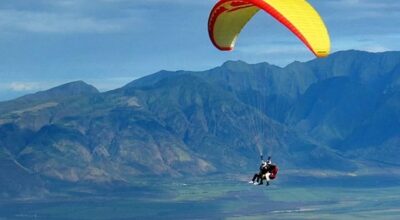 paragliders