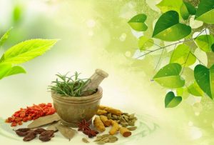 https://139.180.217.87/wp-content/uploads/2019/02/portrait_nepal-herbs-ayurveda-expo-2018.jpg