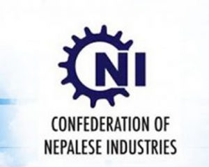 CNI_logo