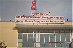 ministry of employment