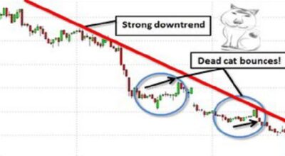 dead-cat-bounce