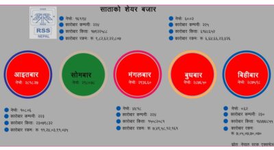 nepse market weekly report