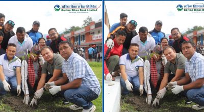 garima bank Tree-Plantation