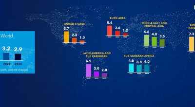 imf report