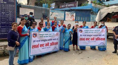 डेंगु रोकथाममा महानगरको कदम, आजदेखि र्‍यापिड डाइग्नोस्टिक टेस्ट गरिने